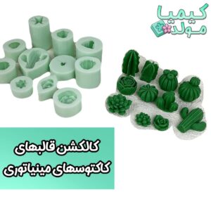 قالب کاکتوس های مینیاتوری