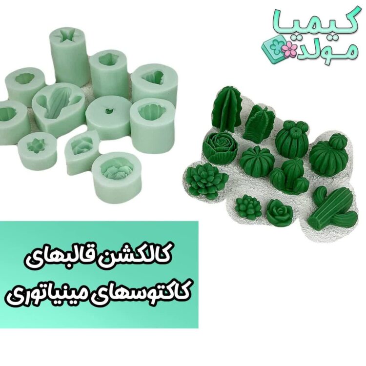 قالب کاکتوس های مینیاتوری