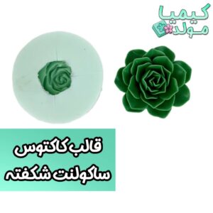 قالب سیلیکونی کاکتوس ساکولنت شکفته