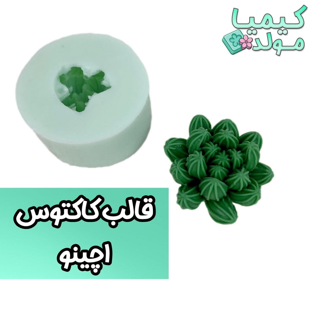 قالب سیلیکونی کاکتوس اچینو کیمیا ملد