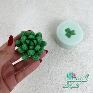 قالب سیلیکونی کاکتوس اچینو
