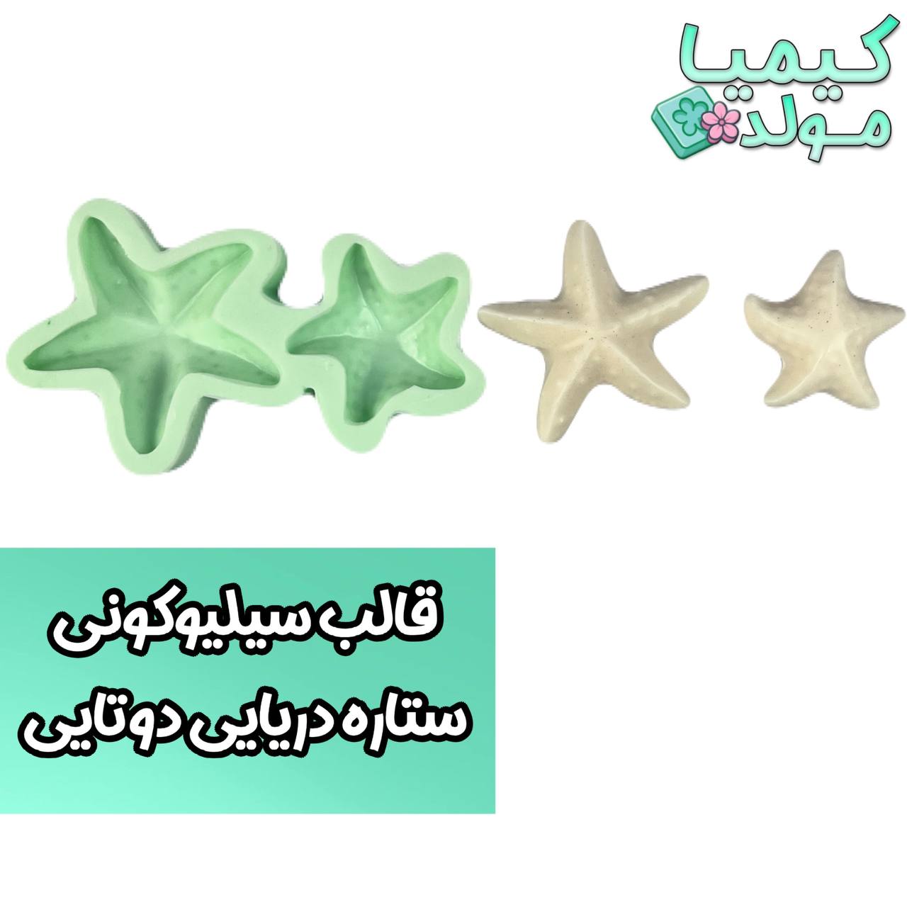 قالب سیلیکونی ستاره دریایی دوتایی کیمیامولد