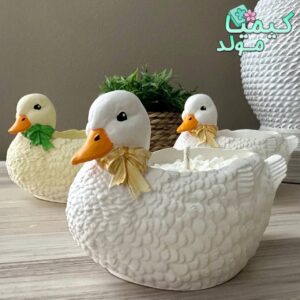 قالب سیلیکونی اردک