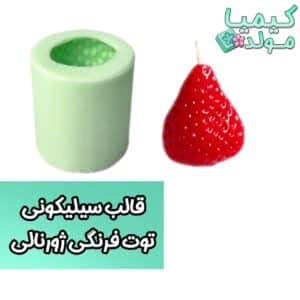 قالب سیلیکونی توت فرنگی ژورنالی کیمیامولد